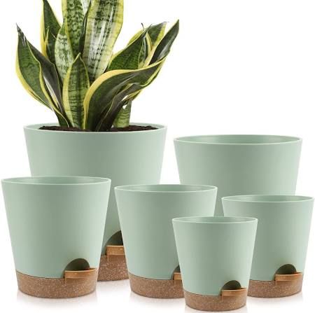 Flower pot planter