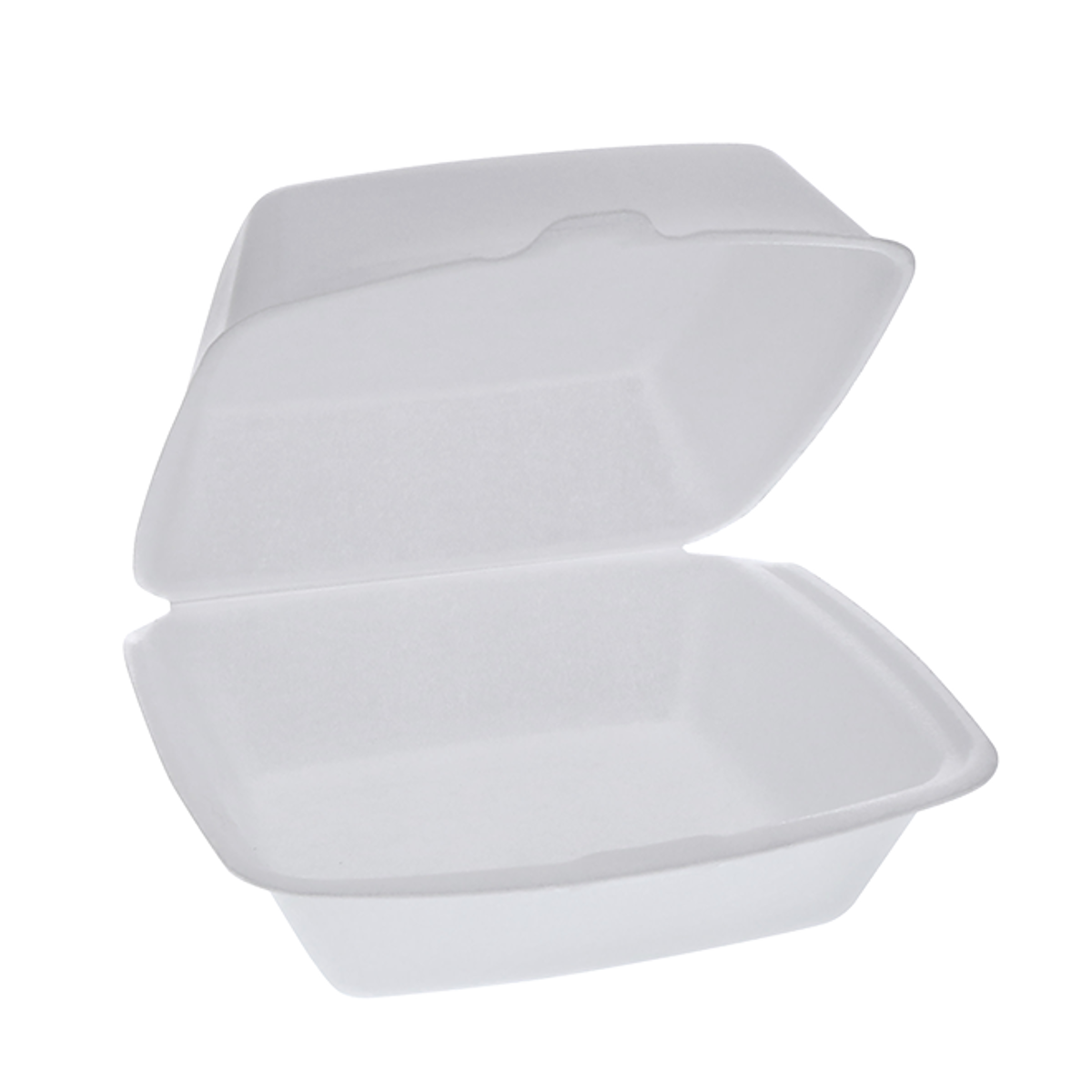 Foam container