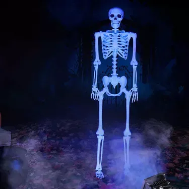 Hanging skeleton- 38 inch