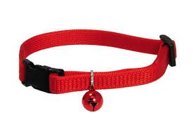 Kitty collar