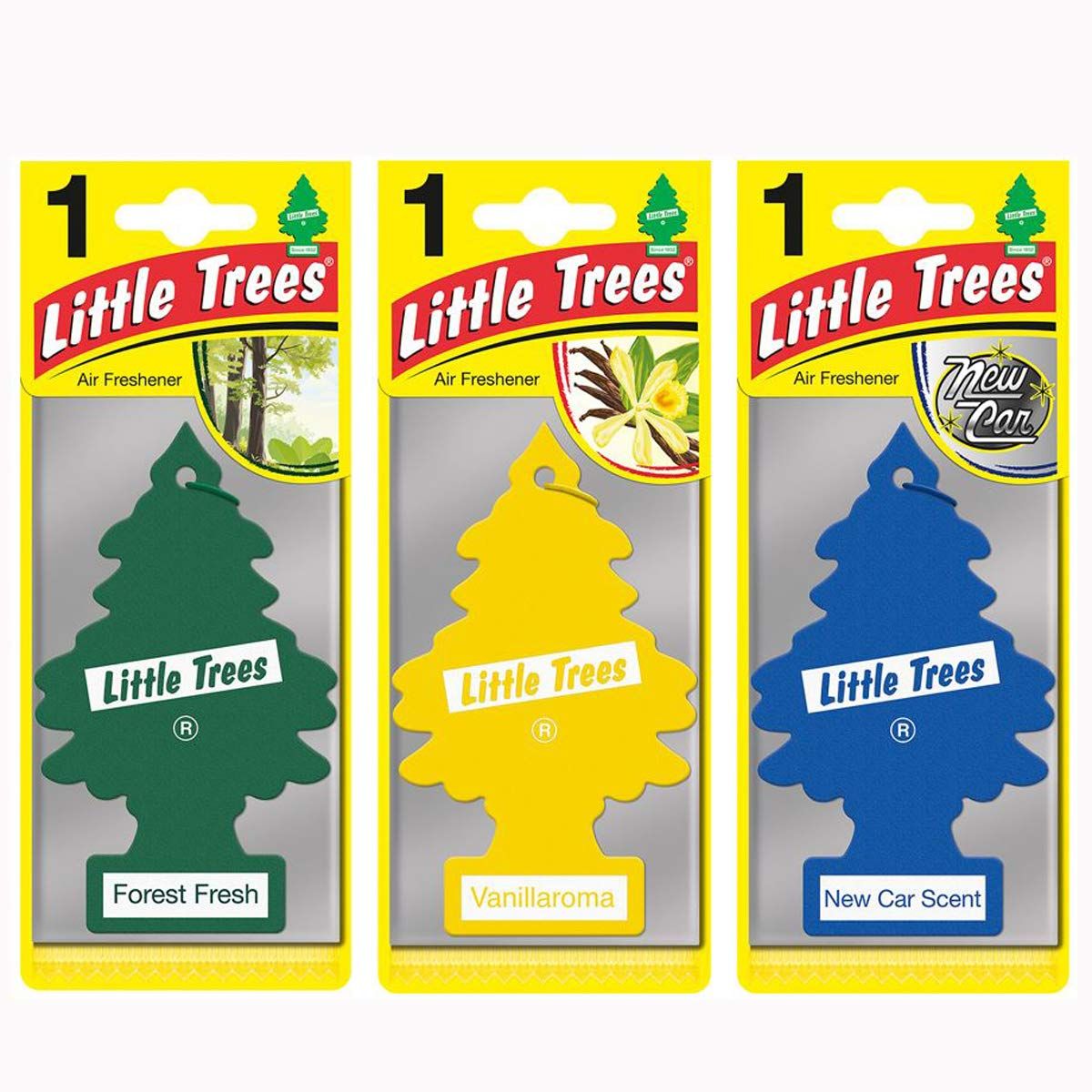 Little tree