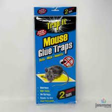 Mouse glue trap - 2 jumbo traps
