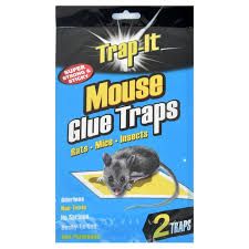 Mouse glue trap - 2pk