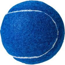 Pet toy with ball