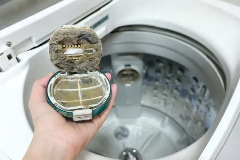 Washing machine lint traps