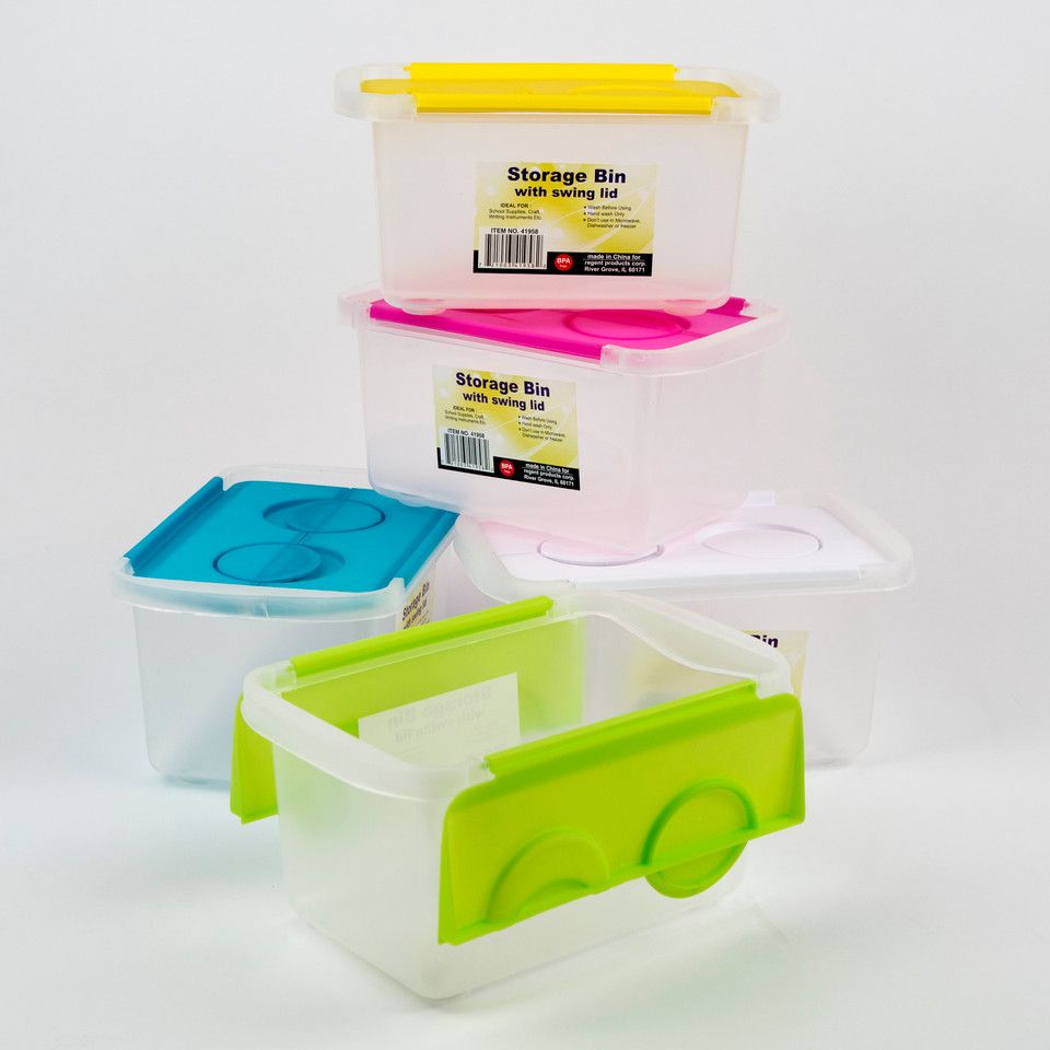 Storage bin with swing lid