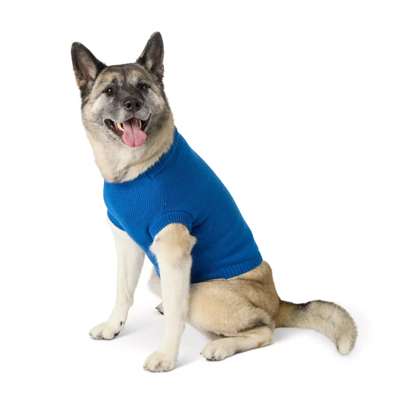 Dog t shirt
