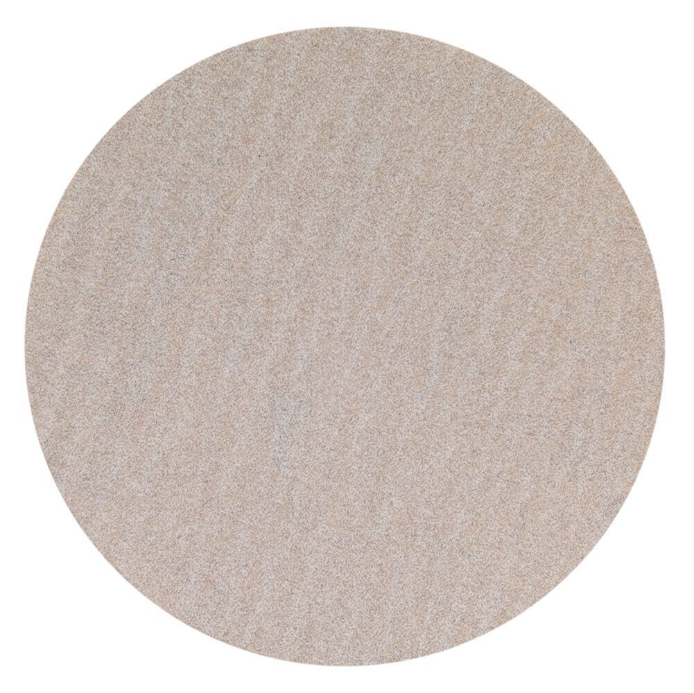 120 Grit Hook & Loop Sanding Discs - 5"