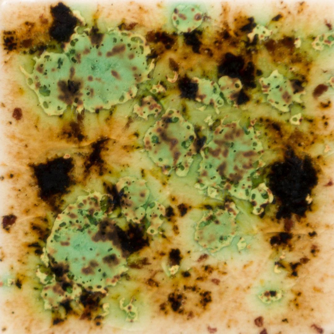 S2709P - CRYSTAL-CAPPUCCINO MINT - PINT