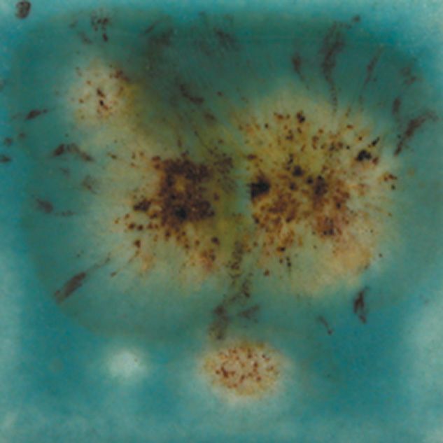 S2724P - CRYSTAL-LOTUS BLOSSOM - PINT