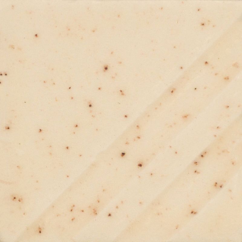 FN239P - SPICED CREAM