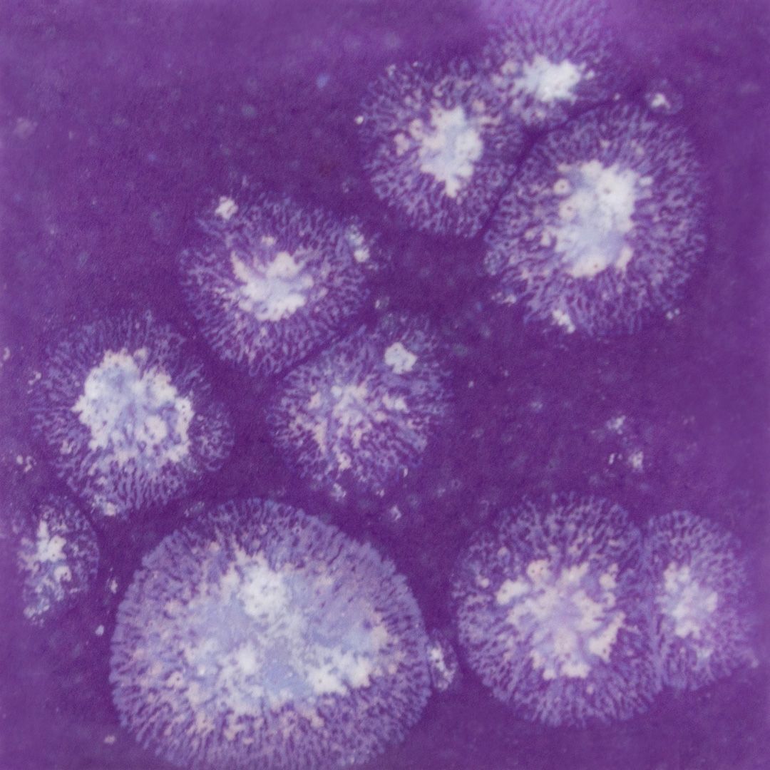 S2723P - CRYSTAL-GRAPE DIVINE - PINT