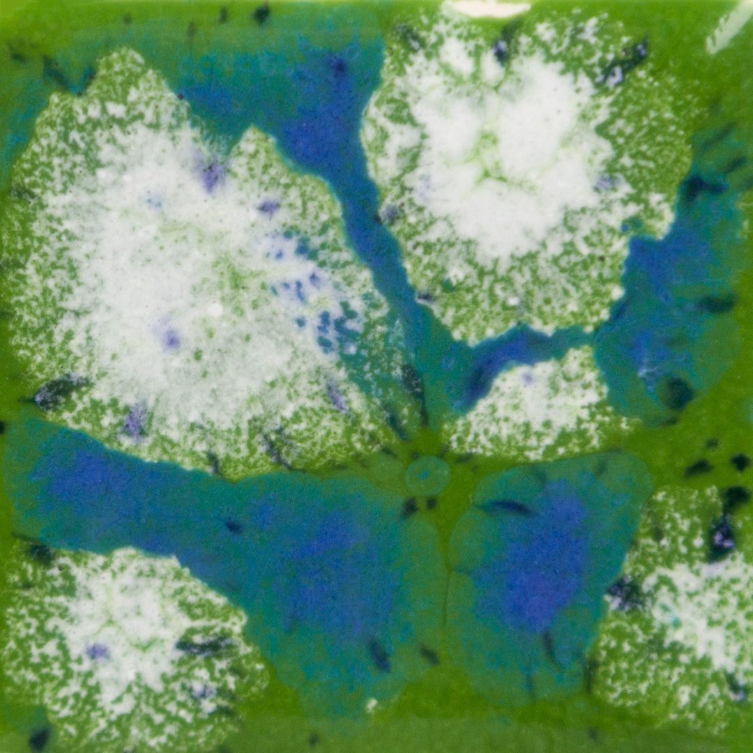 S2715P - CRYSTAL-SPOTTED KIWI - PINT