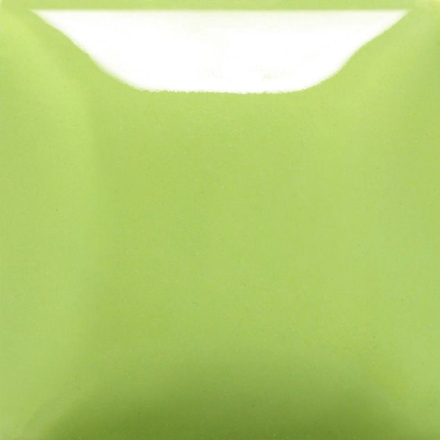 SC0988 - SLIME TIME - 8 OZ
