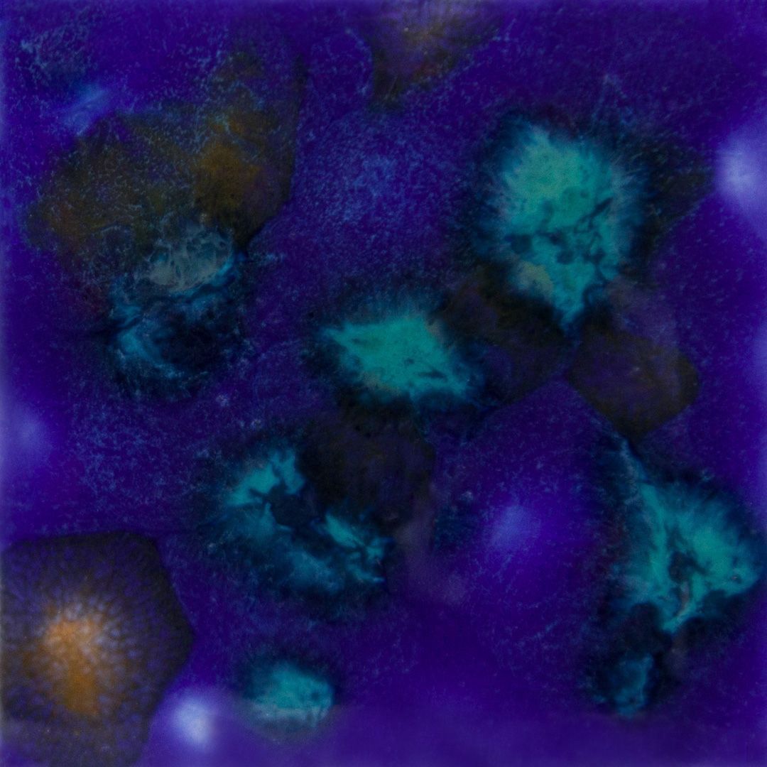 CG958P - LAGOON BLUE - PINT