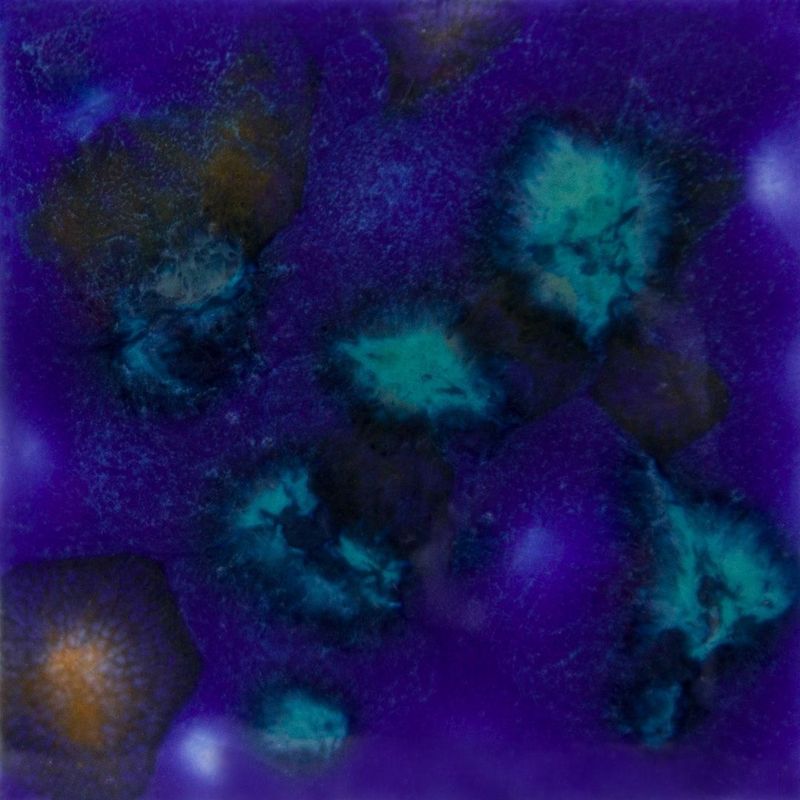 CG958P - LAGOON BLUE - PINT