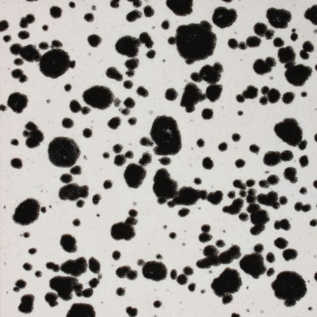 CG977P - INK SPOTS - PINT