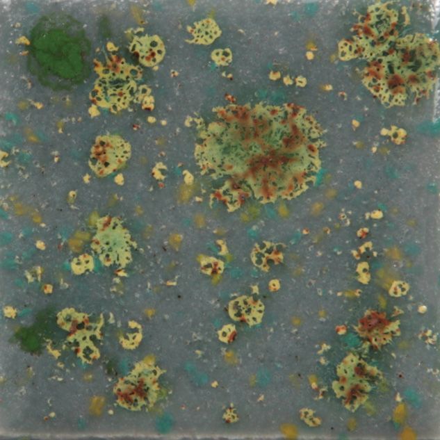 CG991P - MOUNTAIN MOSS - PINT