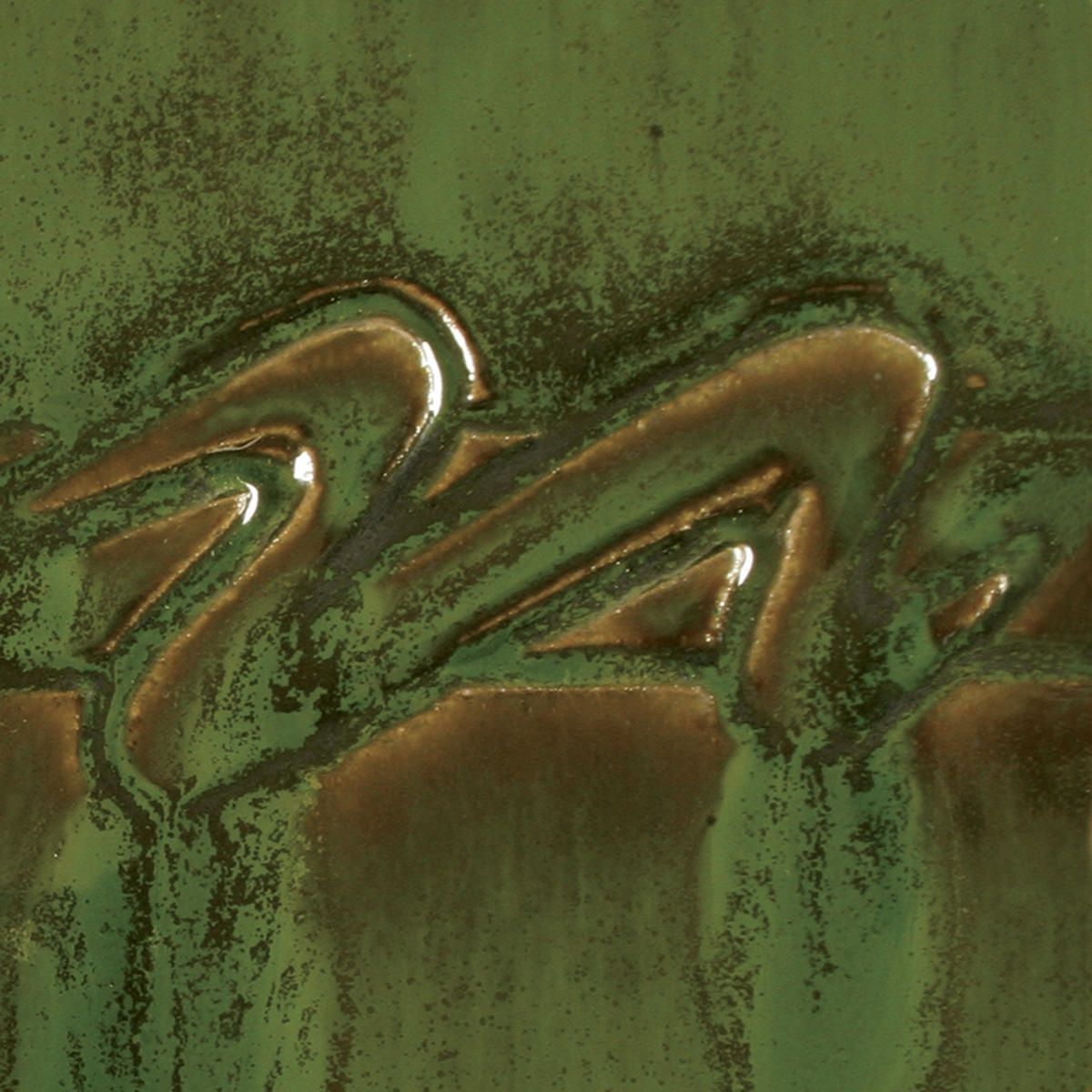Gz Liq PC-42  Pt  Seaweed