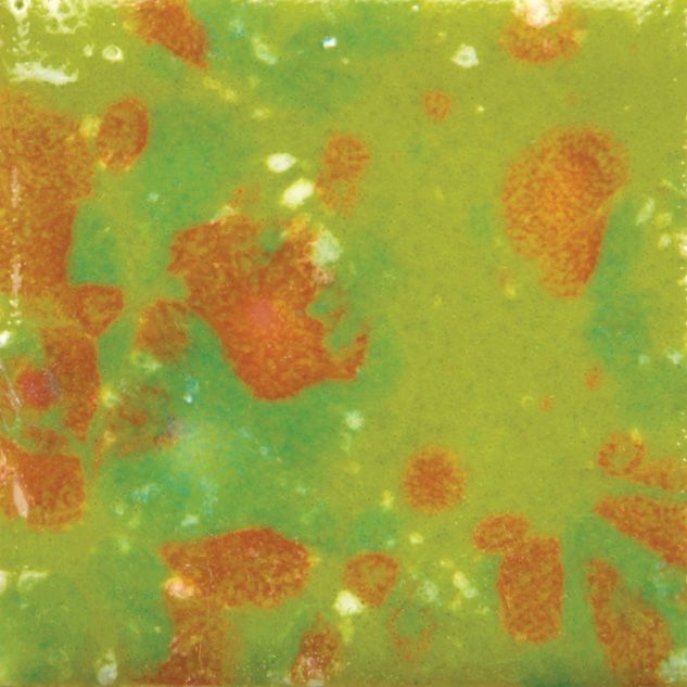 CG987P - TREE FROG - PINT - CG987-P