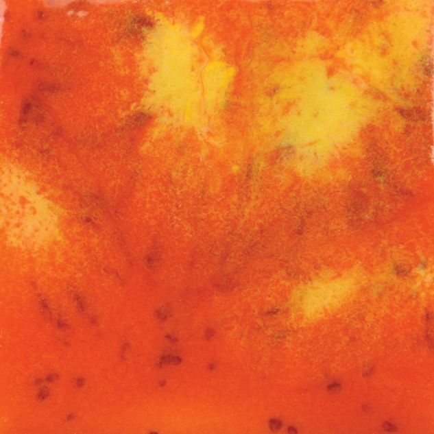 CG954P - WILDFIRE - PINT
