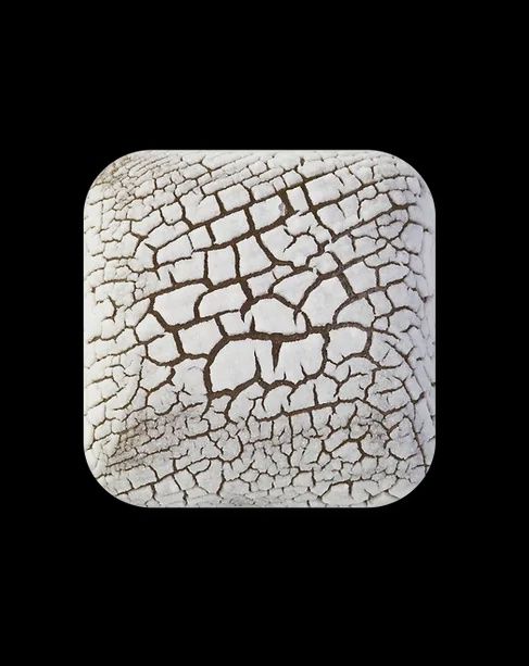 FOSSIL WHITE - PINT