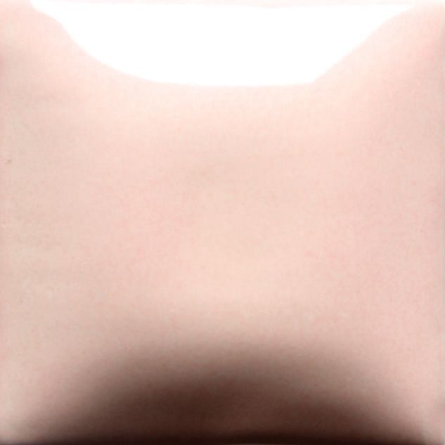 FN047P - LIGHT PINK - PINT