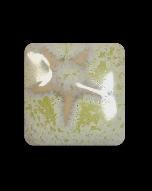 SEA GRASS - PINT