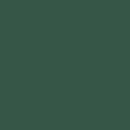 JADE GREEN MASON STAIN