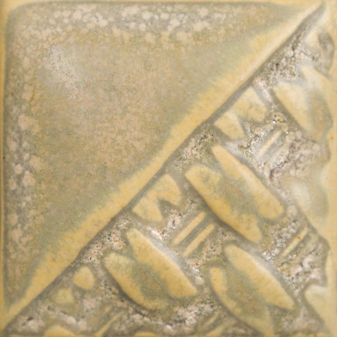 SW197P - FOSSIL ROCK - PINT
