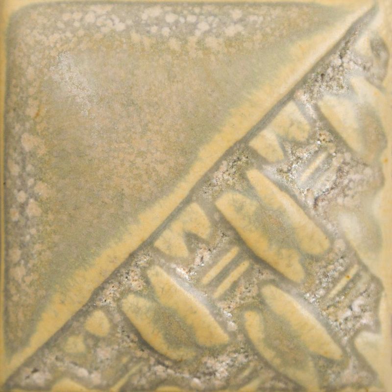 SW197P - FOSSIL ROCK - PINT