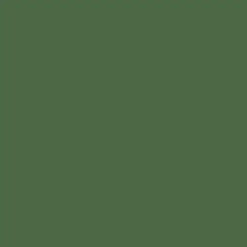 GRASS GREEN MASON STAIN 1/2LB