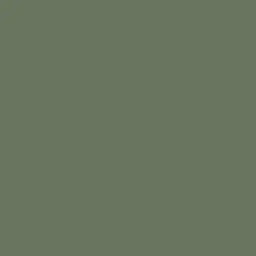 AVOCADO MASON STAIN - 1/2LB