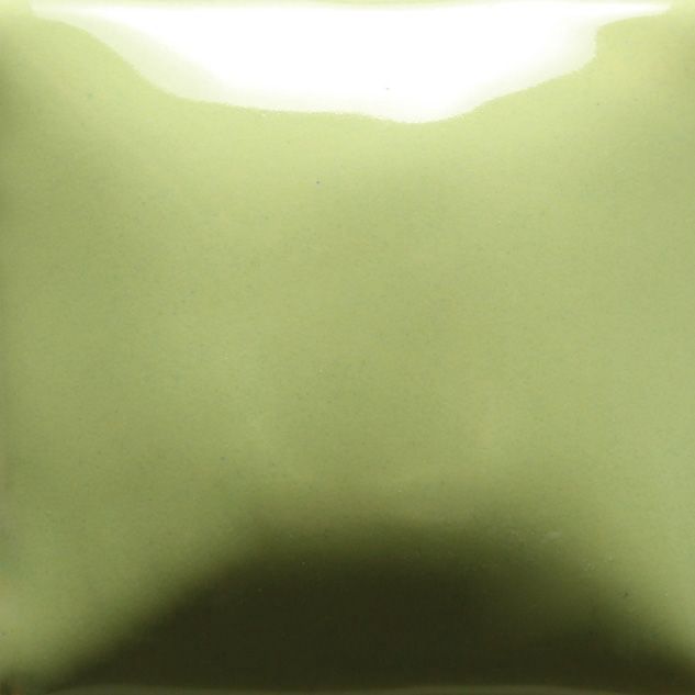 FN053P - MINT - PINT