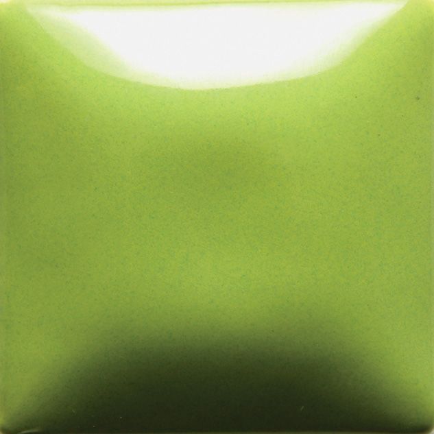 FN054P - PISTACHIO - PINT - FN054-P