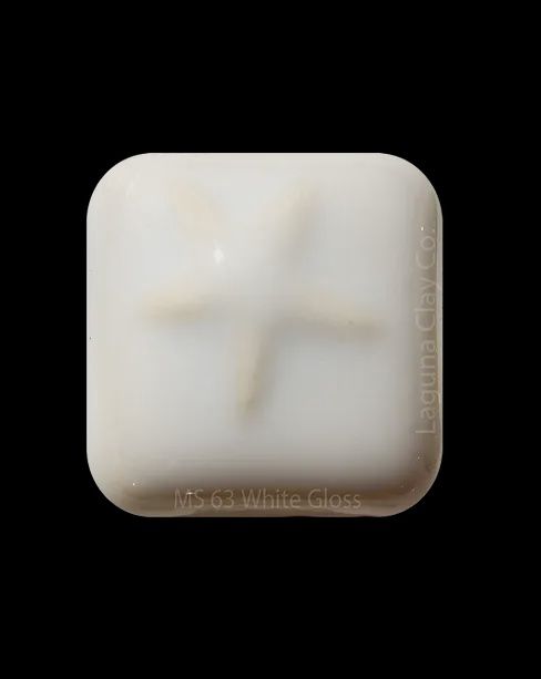 WHITE GLOSS - GALLON