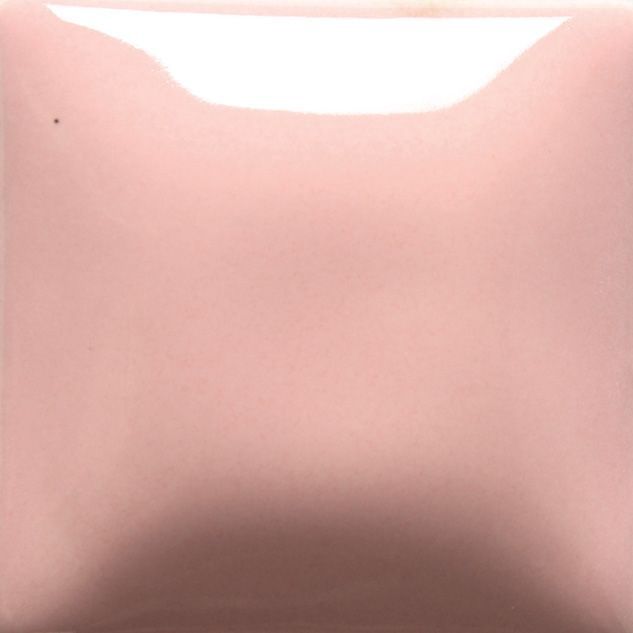 FN005P - PINK - PINT - FN005-P