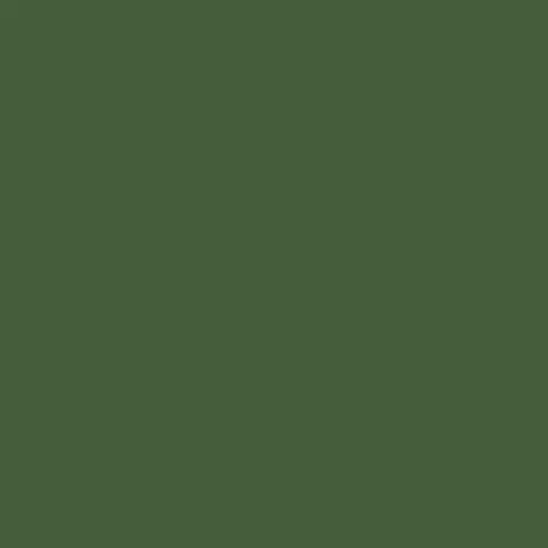 IVY MASON STAIN - 1/2LB