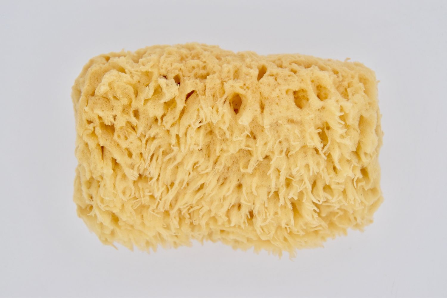 SEA WOOL SPONGE