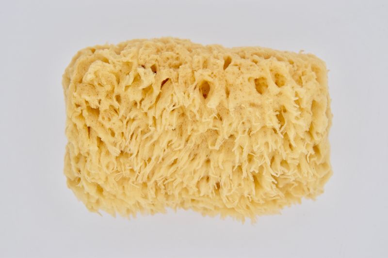 SEA WOOL SPONGE