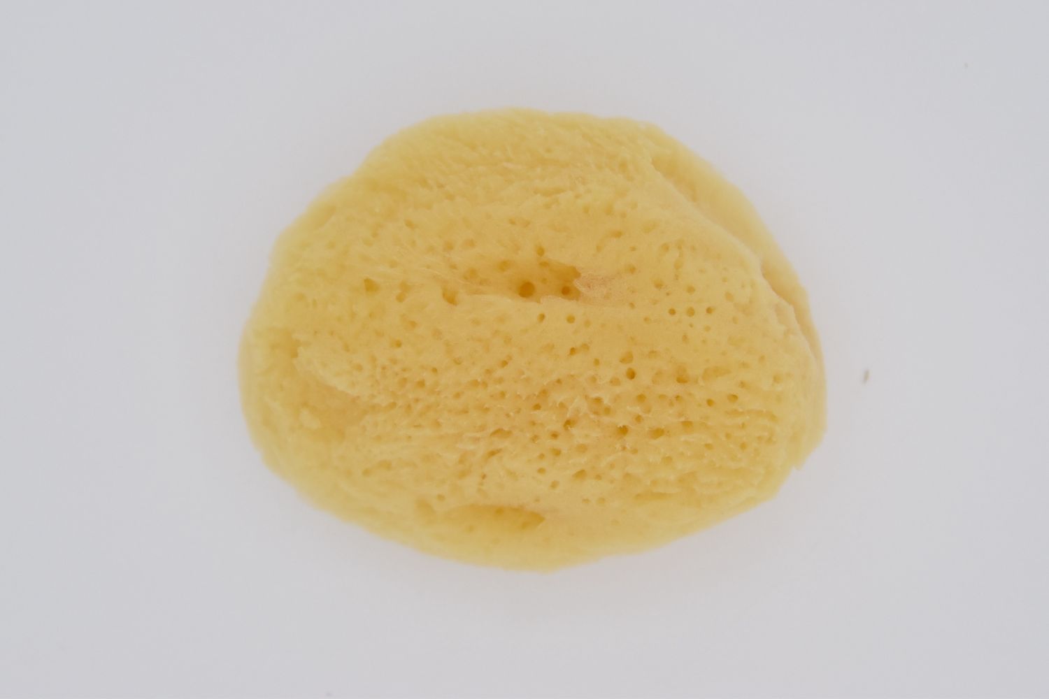 SILK SPONGE