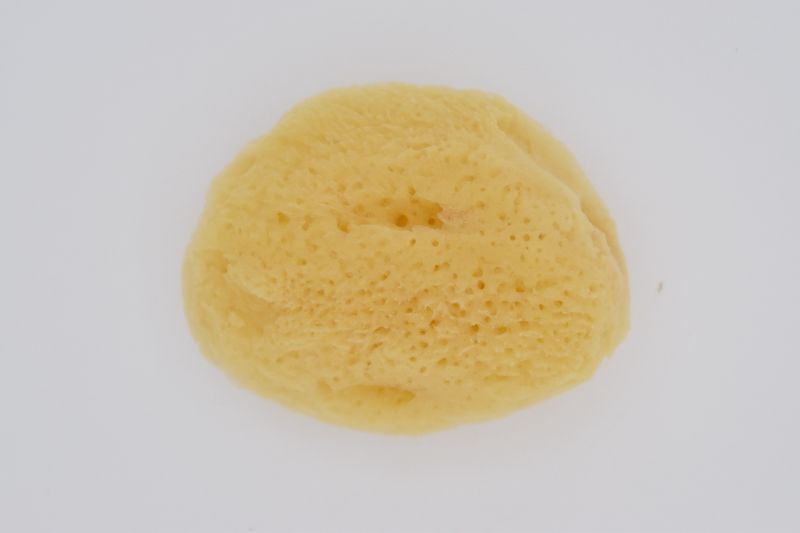 SILK SPONGE