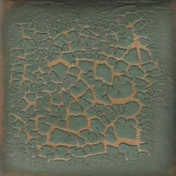 CACTUS CRAWL C-6 GLAZE