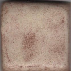 MOCHA SHINO C-5 GLAZE