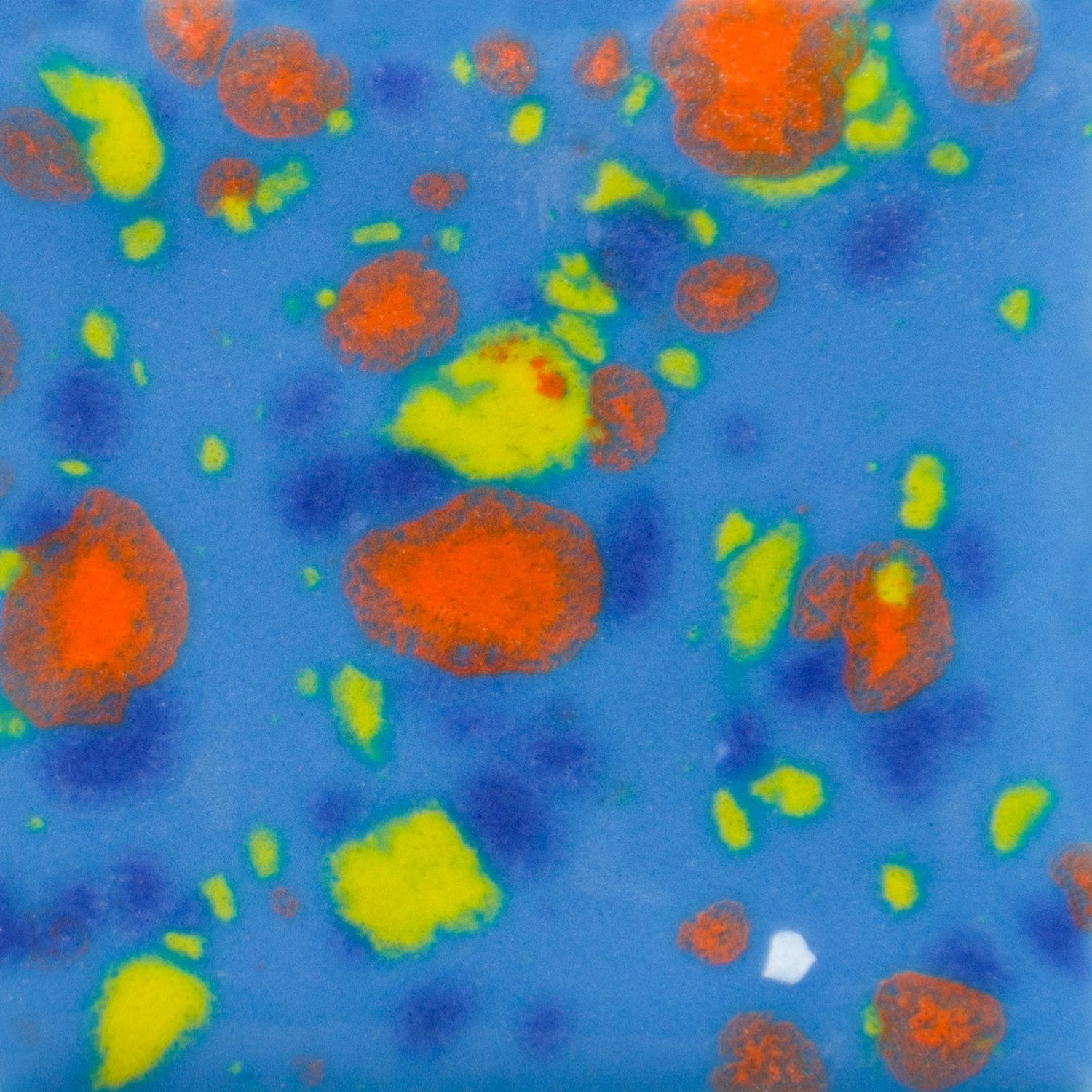 CG1007P - BLUEBERRY BUBBLEGUM - PINT