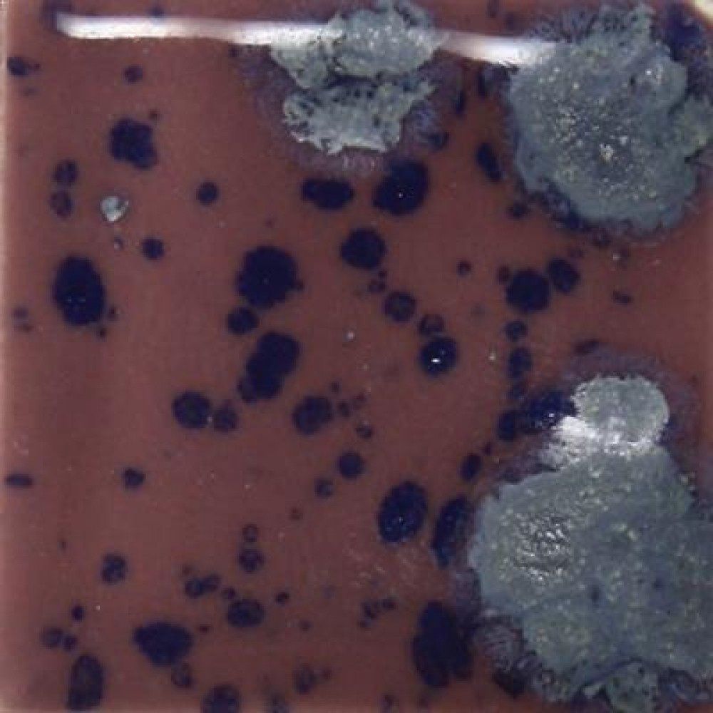 S2727P - CRYSTAL-POPPY FIELDS - PINT