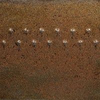 Gz Liq PC-69 Pt Cosmic Tea Dust