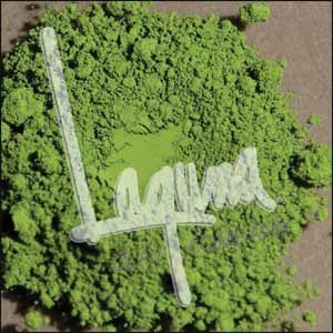 CHROME GREEN OXIDE, Weight: 1/2LB