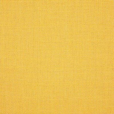 Yellow / Gold