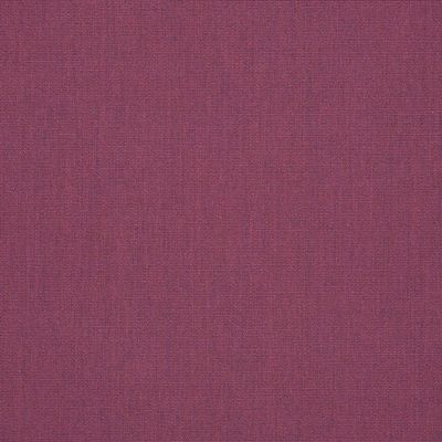 Canvas Iris Sunbrella